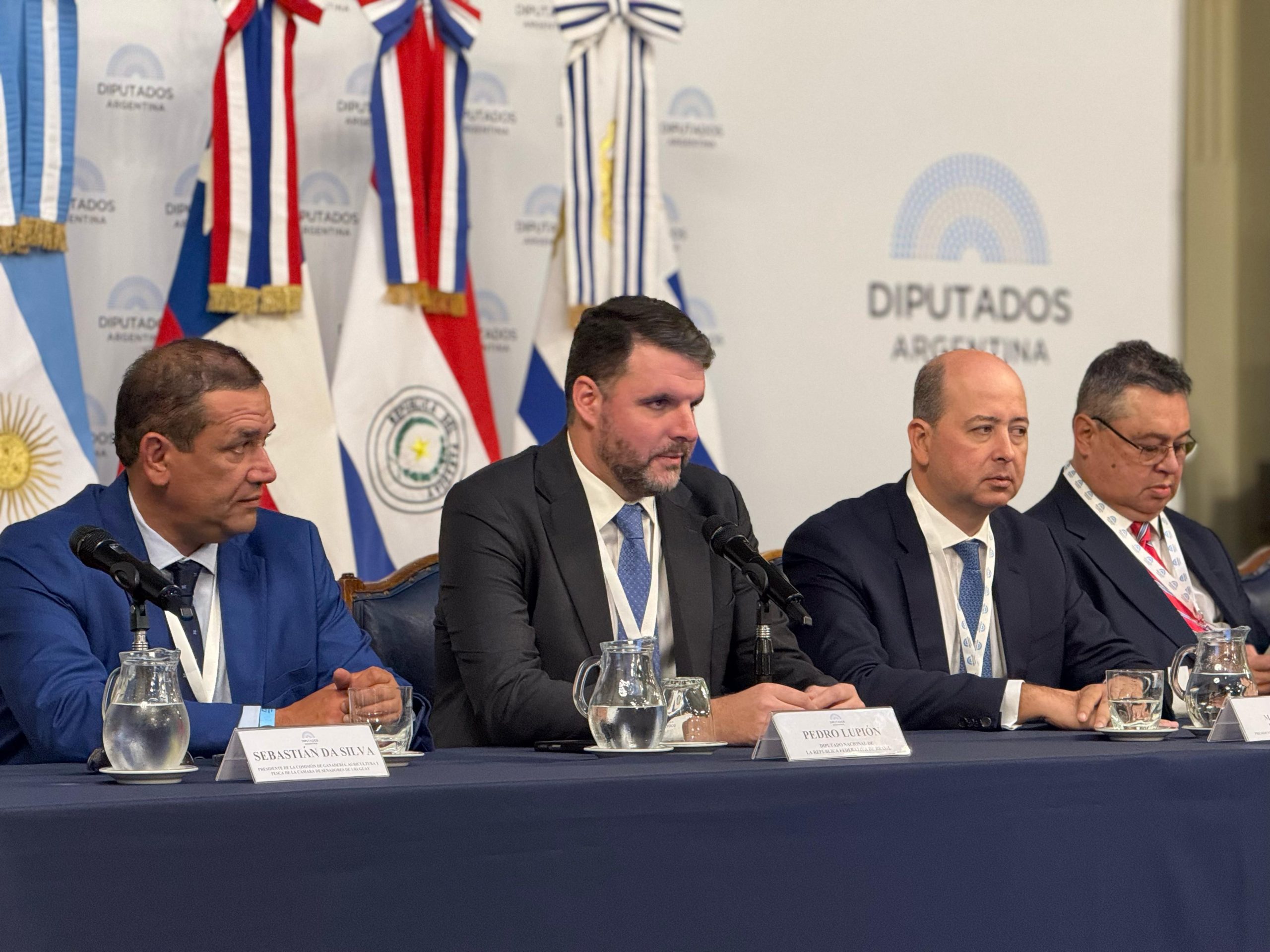 Pedro Lupion no Congresso argentino — Diputados Argentina